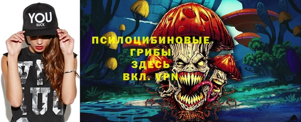 ECSTASY Алексин