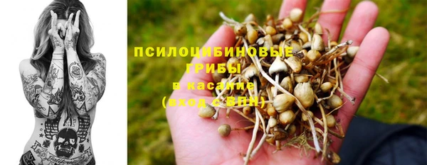 ECSTASY Алексин
